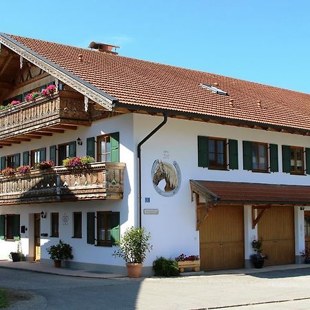 Ferienwohnung Erhard Schonberg  Ngoại thất bức ảnh
